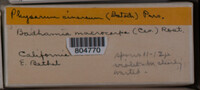 Image Associated With the Occurence